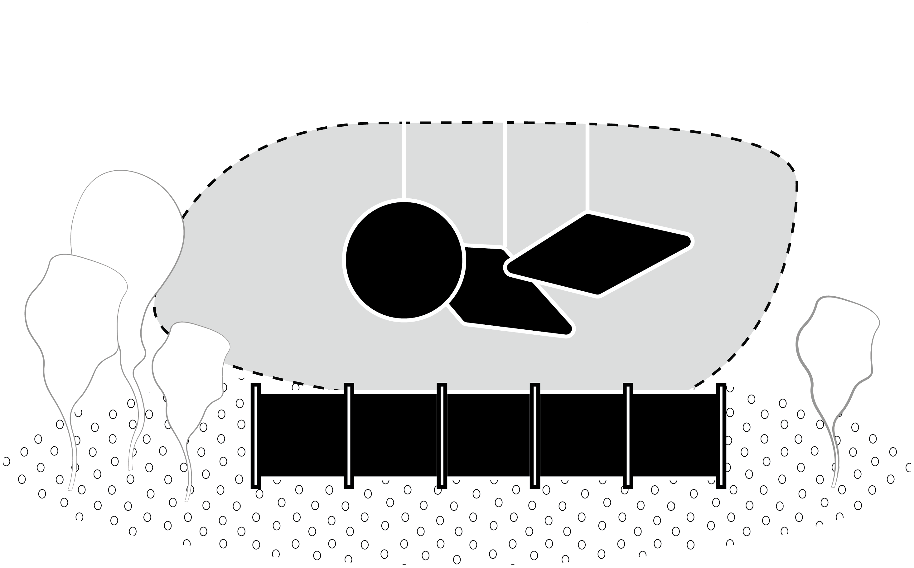 Skypark - Economy